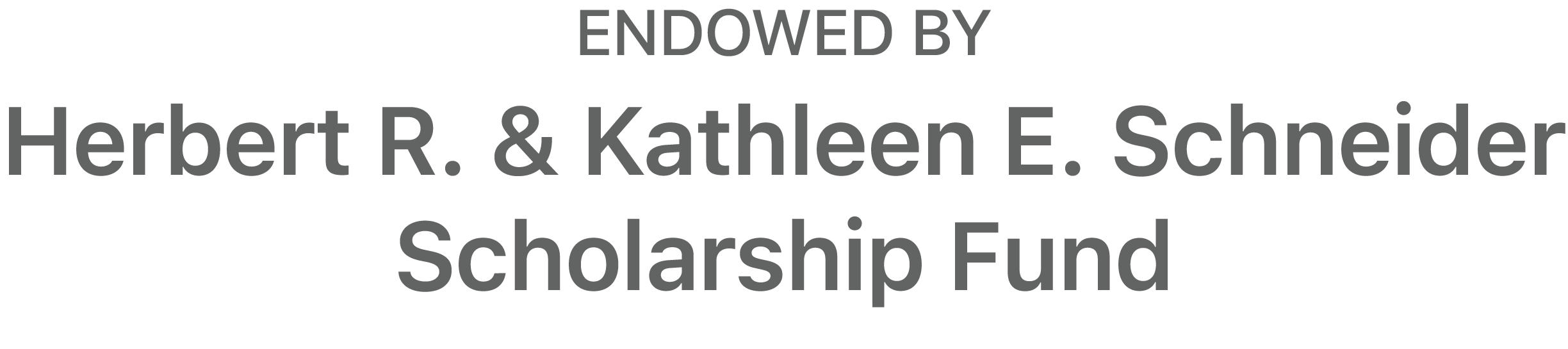 Schneider Scholarship Fund